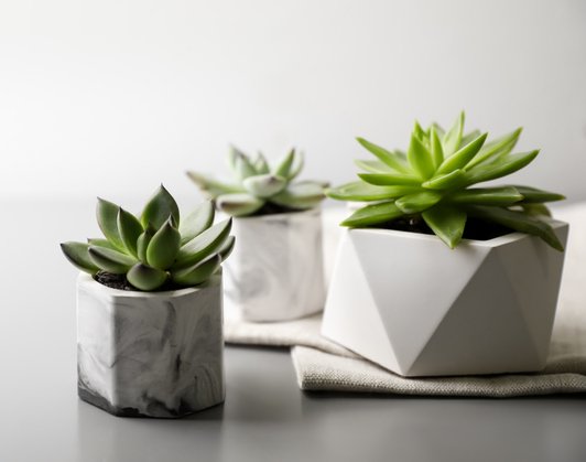 עציצים מבטון