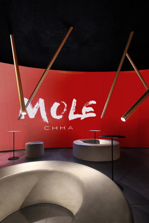 recyle project mole tea